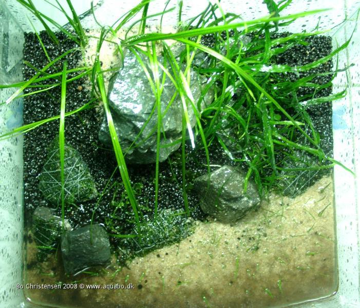 Image: Aquarium Nano23 liters - New aquascape. Picture taken from above just before water is added.