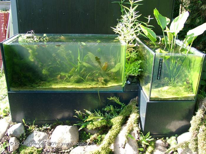 Project: outdoor notech tanks